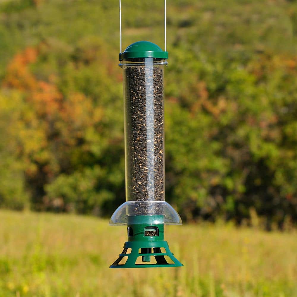Green and Clear Squirrel Resistant Hanging Tube Bird Feeder