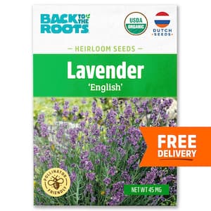 Organic English Lavender Seed (1-Pack)