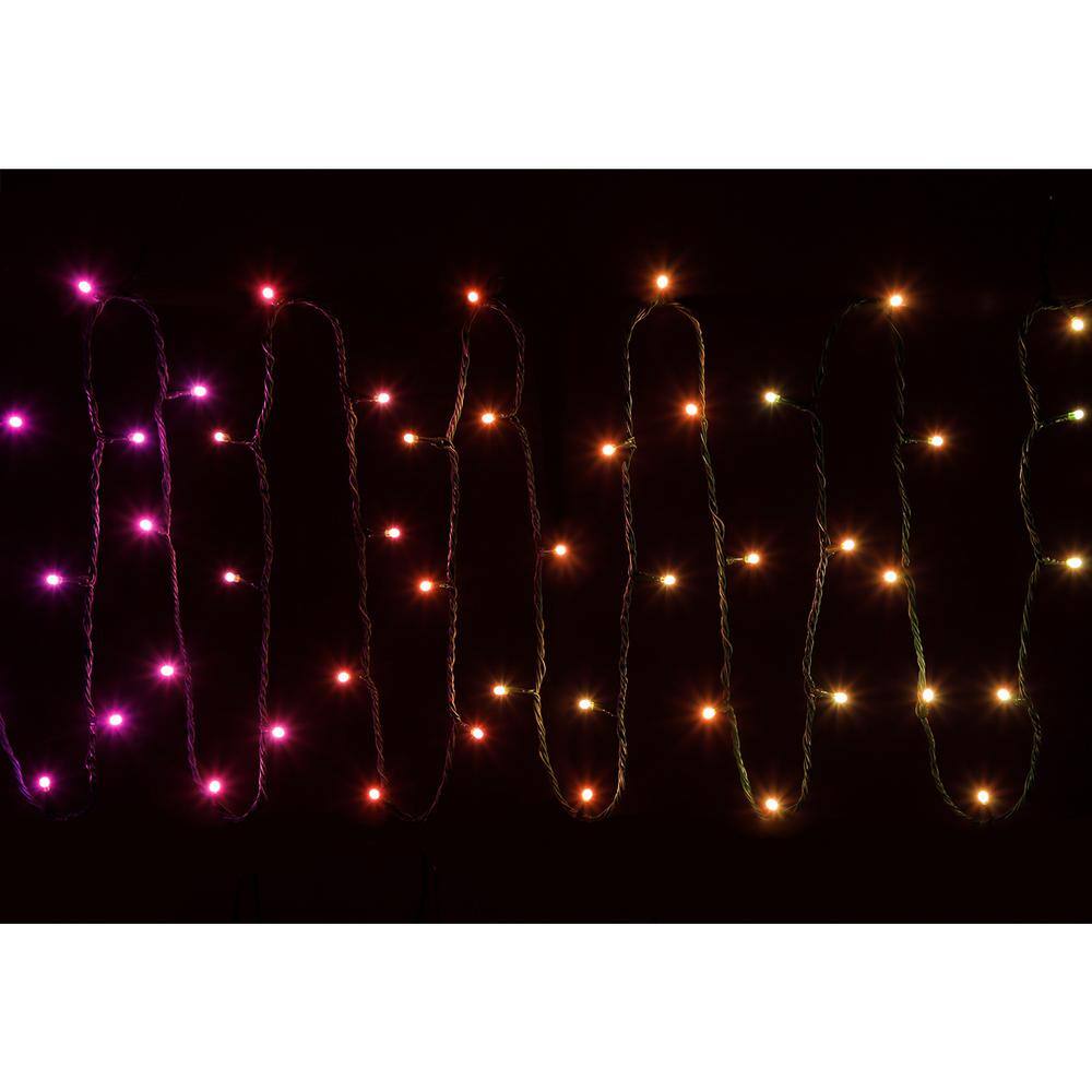 Twinkly App-Controlled Multi-Color LED Holiday String Lights, 100 Bulbs, 2 Pack