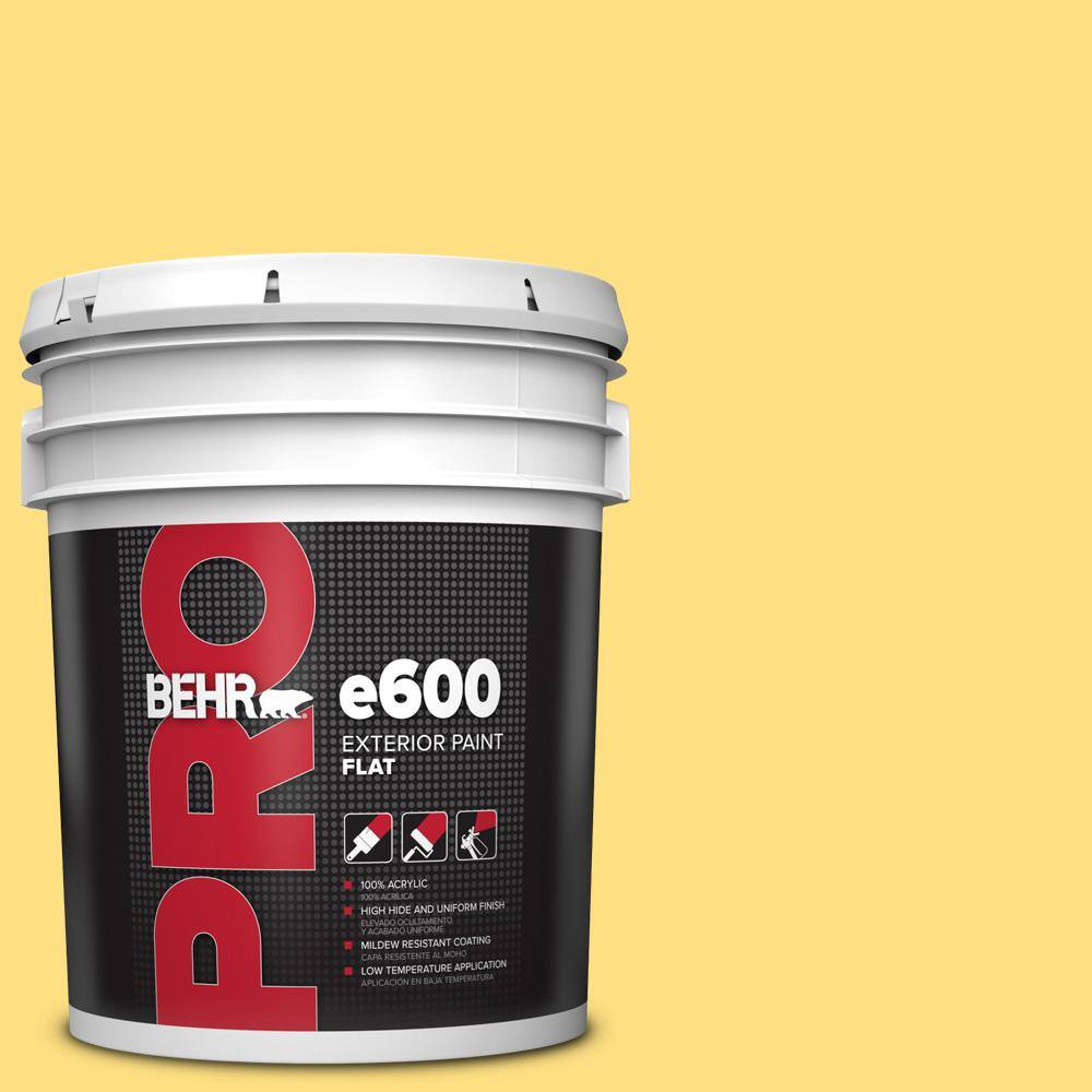 5 gal. #370B-4 June Day Flat Exterior Paint price history on PriceWatchPro