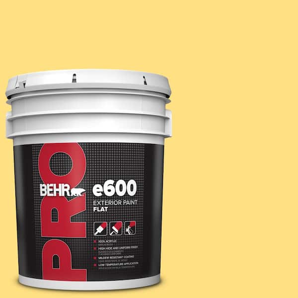 BEHR PRO 5 gal. #370B-4 June Day Flat Exterior Paint