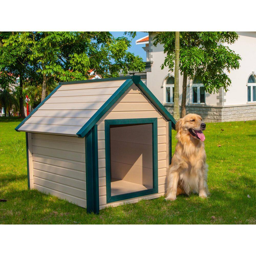 X-Large Maple and Green Insulated Plastic Dog House