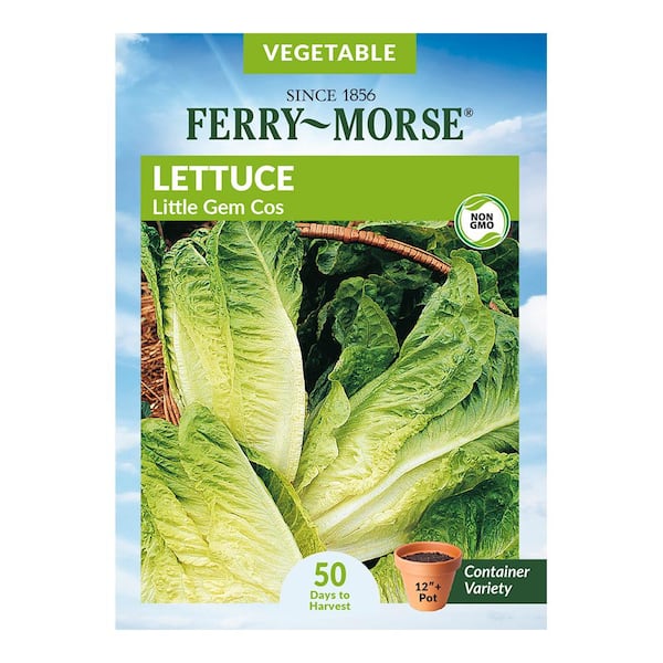 Ferry-Morse Lettuce Little Gem Cos Vegetable Seeds
