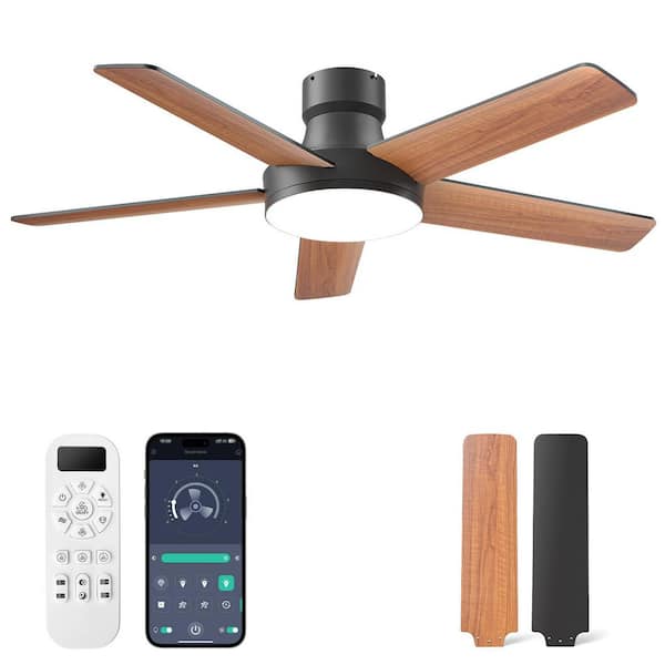 44 in. Indoor Black Standard Dual-Finish Walnut 5-Blades Downrod Ceiling Fan with Light Kit and Remote Control