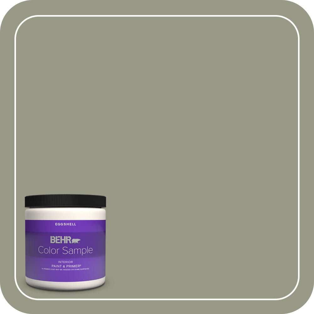 8 oz. #BNC-27 Aged Eucalyptus Eggshell Enamel Interior Paint & Primer Color Sample price history on PriceWatchPro