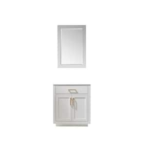 Ivy 29.2 in. W x 21.6 in. D x 33.1 in. H Bath Vanity Cabinet without Top in White with Mirror