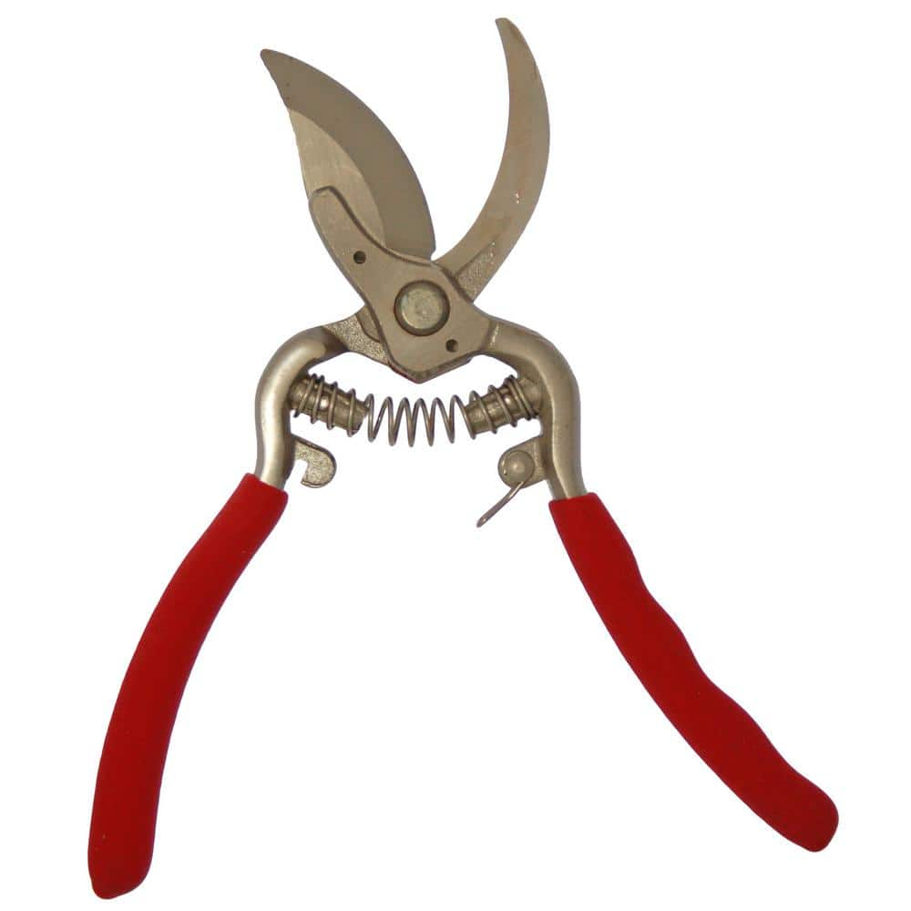 Curved MasaMasa Scissors in Orange