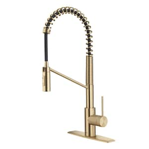 Oletto Single-Handle Pull-Down Sprayer Kitchen Faucet in Spot Free Antique Champagne Bronze