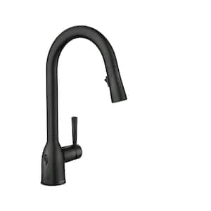 Adler Touchless Single-Handle Pull-Down Sprayer Kitchen Faucet with MotionSense Wave and Power Clean in Matte Black