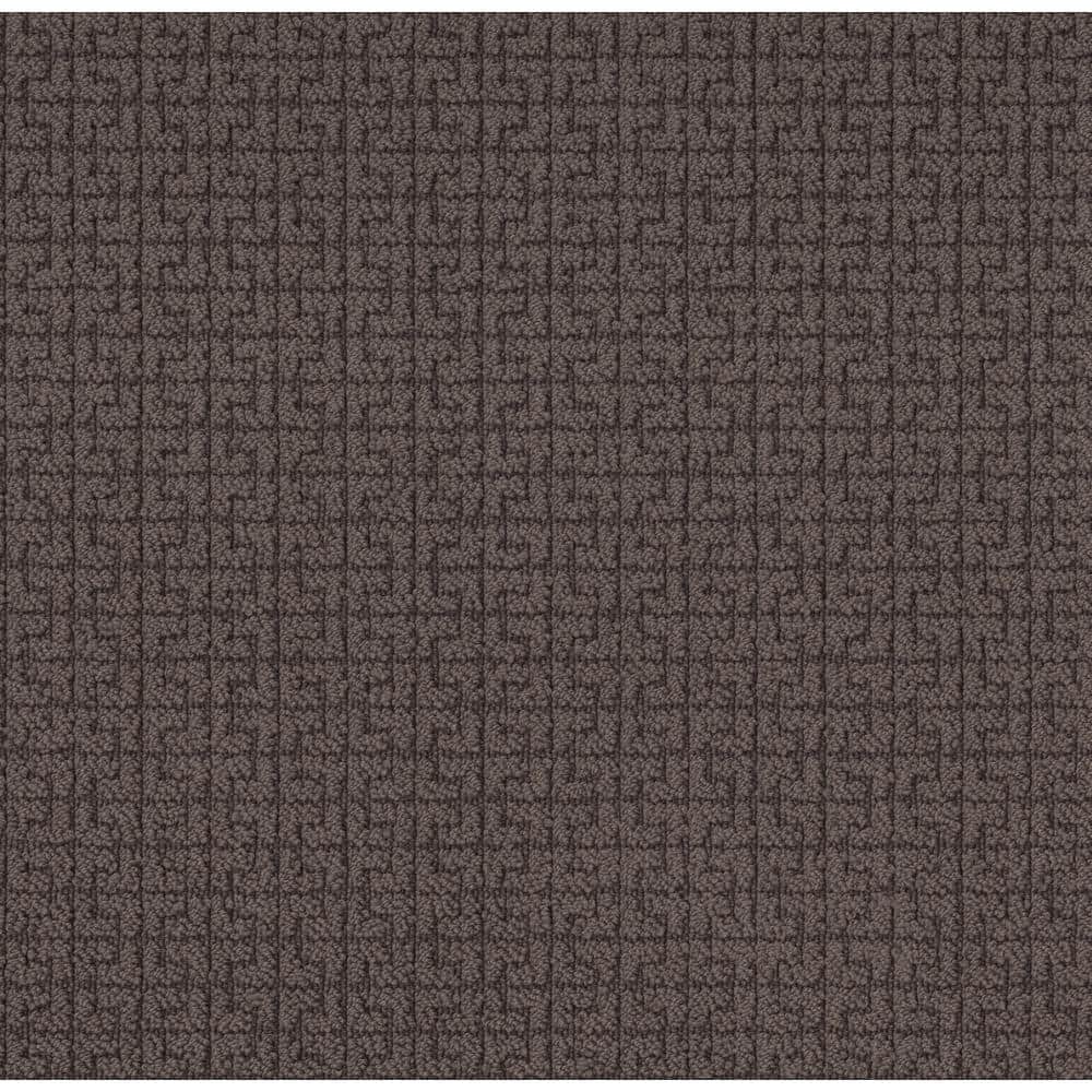 8 in. x 8 in. Pattern Carpet Sample - Claymore - Color Tobacco price history on PriceWatchPro