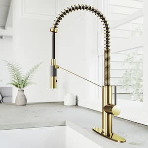 Livingston Single Handle Pull-Down Sprayer Kitchen Faucet Set with Deck Plate in Matte Brushed Gold