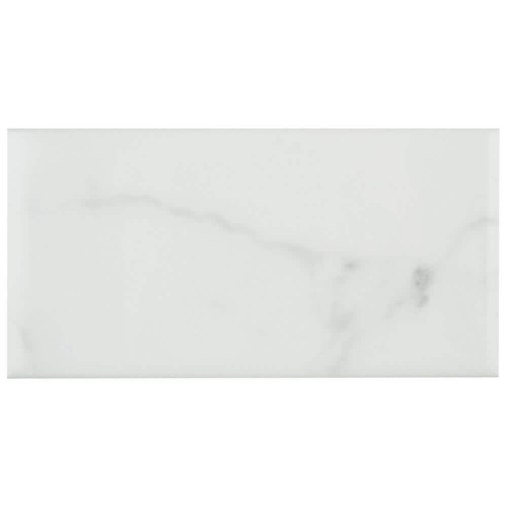 Classico Carrara Glossy 3 in. x 6 in. Ceramic Wall Take Home Tile Sample price history on PriceWatchPro