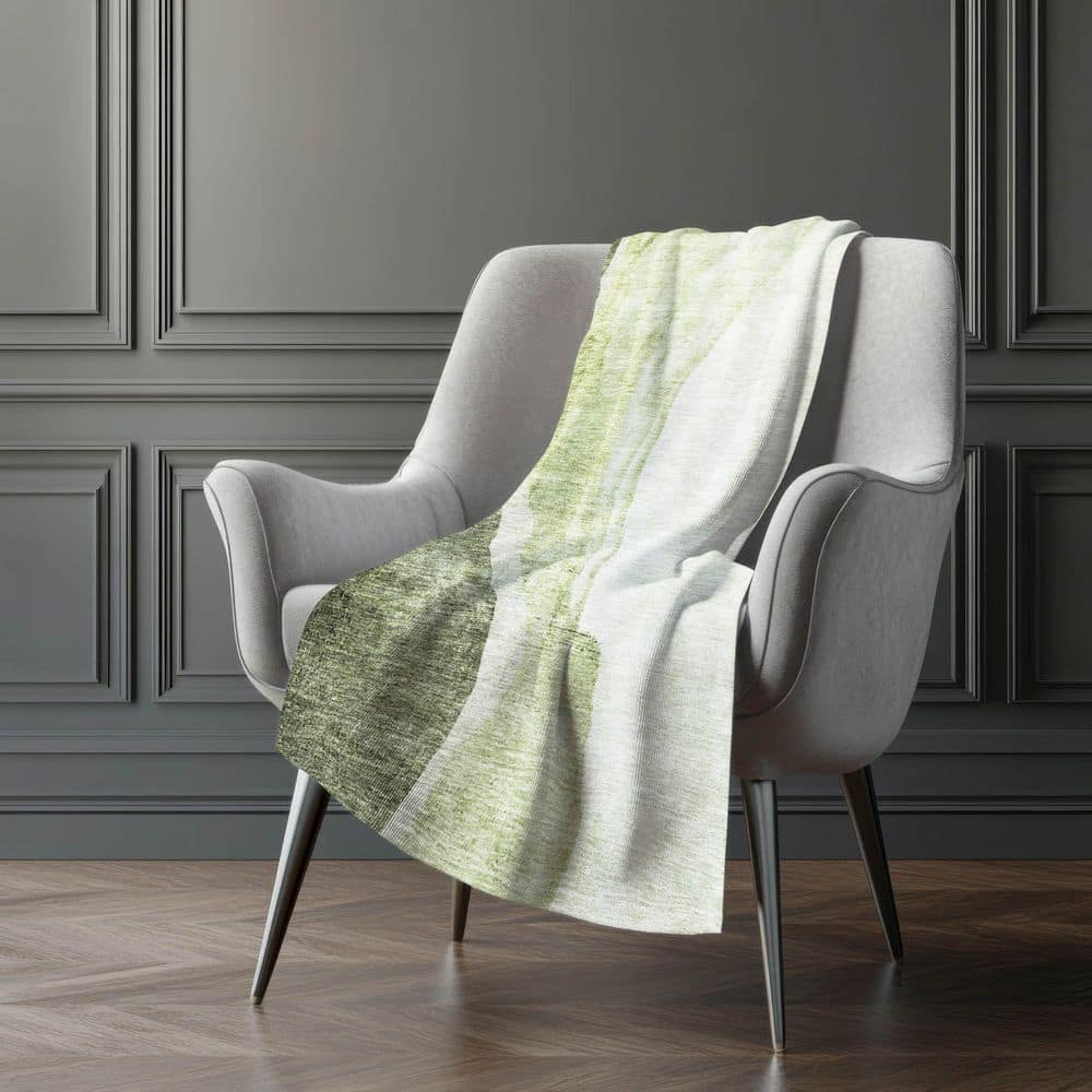 Premium Machine Washable ASB667 Olive 50 in. x 70 in. Sherpa Throw Blanket price history on PriceWatchPro