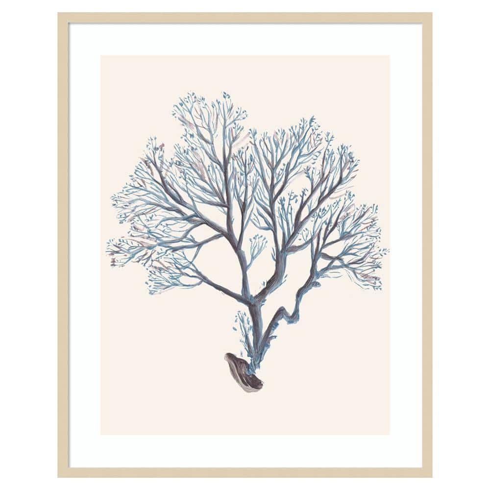 Indigo Reef III Framed Natural Wood Wall Art Print