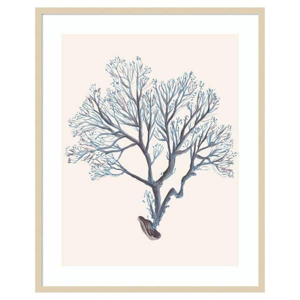 Amanti Art Indigo Reef III by Melissa Wang 33 in. W x 41 in. H. Wood Framed Wall Art Print Framed in Brown