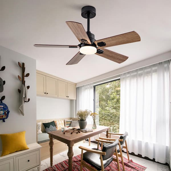 Modern 42 in. Black 5 Plywood Blades Downrod Standard Ceiling Fan with LED Light and Remote Control Included