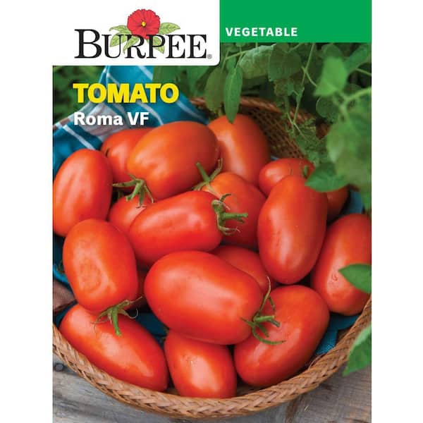 Tomato Roma VF Vegetable Seed