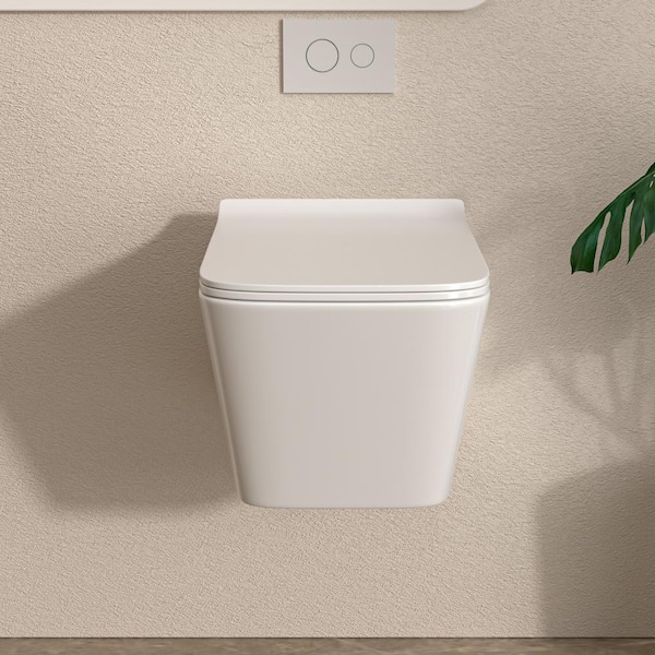 LORDEAR One-Piece Wall Hung Bidet Toilet with Soft-Close