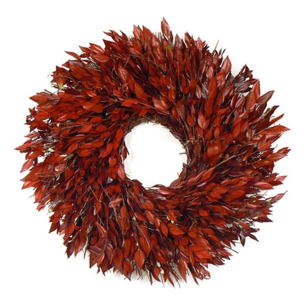 The Christmas Tree Company Taste of Myrtle 18 in. Dried Floral Wreath-DISCONTINUED