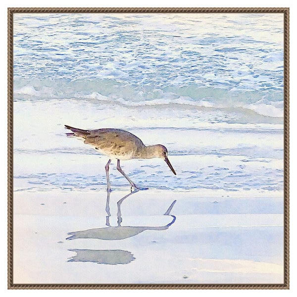 Amanti Art Sandpiper Dreams II by Christine Zalewski 30 in. W x 30 in. H Canvas Float Frame in Bronze