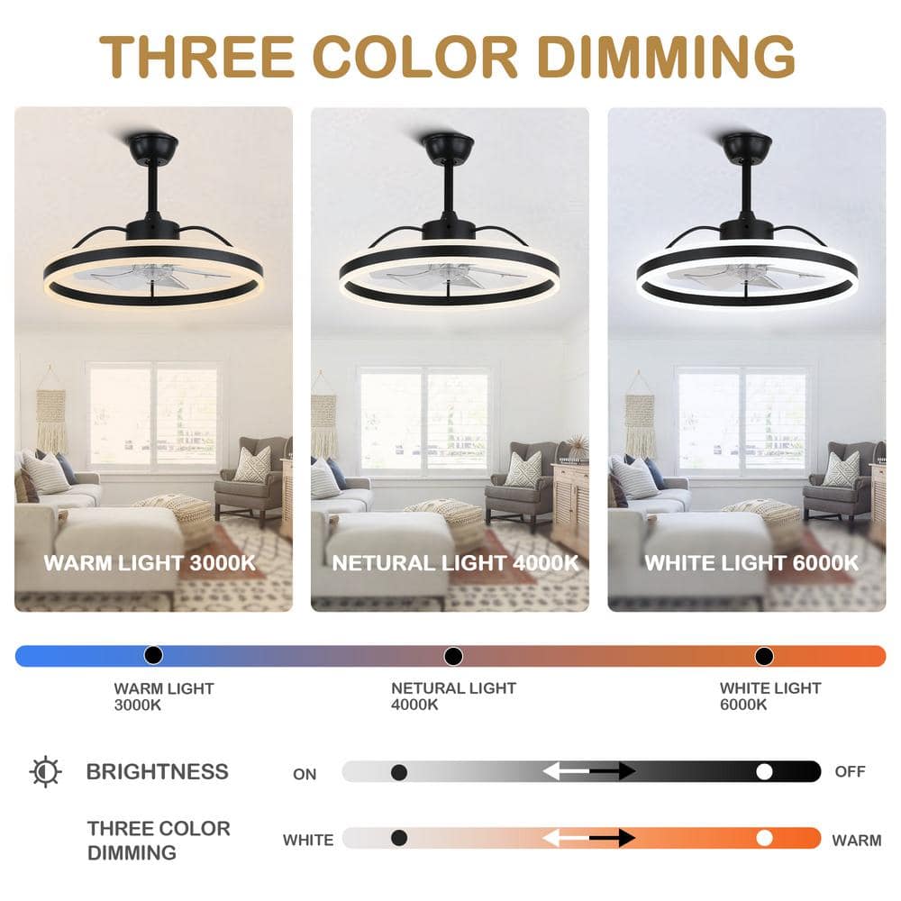 24" Black Modern Smart Ceiling Fan with Dimmable LED Light