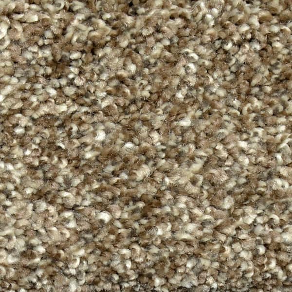 Lifeproof Carpet Sample - Graceful Style II - Color Richmond Texture 8 in. x 8 in.