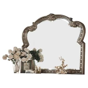 Large Irregular Antique Champagne Classic Mirror (41 in. H x 2 in. W)