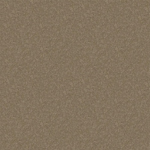 Alpine - Will Power - Brown 17.3 oz. Polyester Texture Installed Carpet