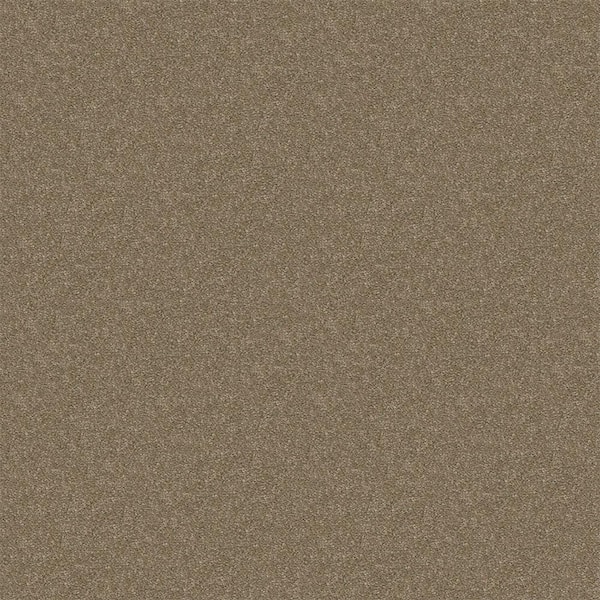 TrafficMaster Alpine - Will Power - Brown 17.3 oz. Polyester Texture Installed Carpet