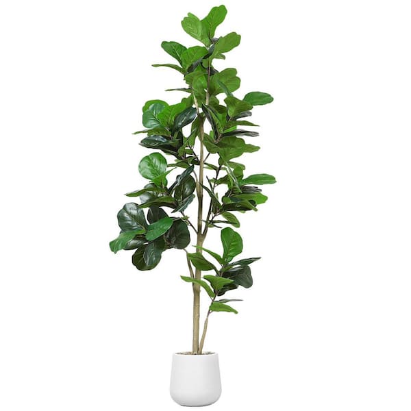 Molysoul 7 ft. Artificial Fiddle Leaf Fig Tree-Realistic Faux Plant with  White Planter, Indoor Floor Decor FLF-0808-7FT-A