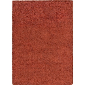 Solid Shag Terracotta 7 ft. x 10 ft. Area Rug