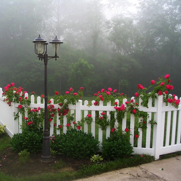 Weatherables 4 ft. H x 124 ft. L Picket Dog Ear Scalloped Hampshire White Vinyl Complete Top Fence Project Pack