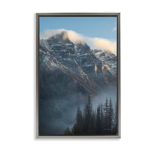 Stupell Industries Mount Tupper Mist by Alan Majchrowicz Gray Floater Frame Nature Graphic Art Print 31 in. x 21 in.
