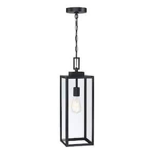 21.5 in. 1-Light Matte Black Outdoor Hanging Lantern Pendant Light with Clear Glass