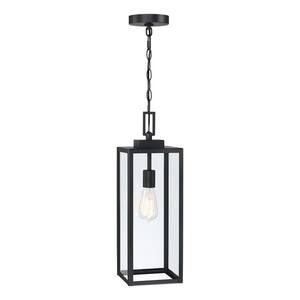 Alfa 21.5 in. 1-Light Matte Black Outdoor Hanging Lantern Pendant Light with Clear Glass