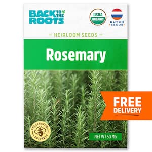 Organic Rosemary Seed