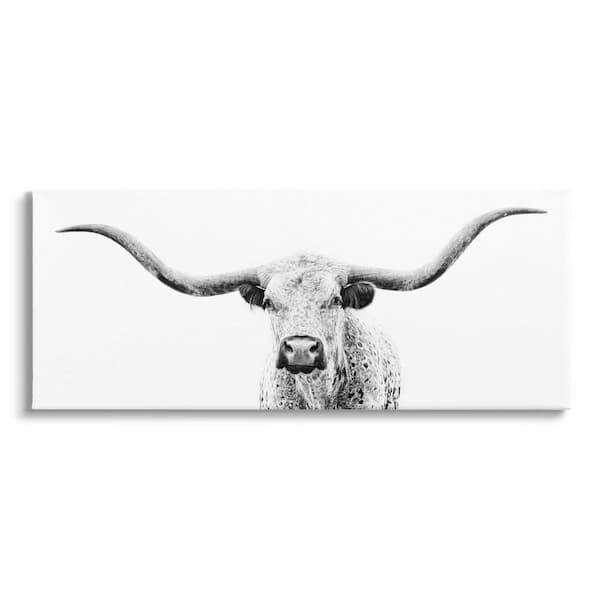 Longhorn Cattle Gazing Modern White Photography Design Design By PHBurchett Unframed Animal Art Print 40 in. x 17 in.