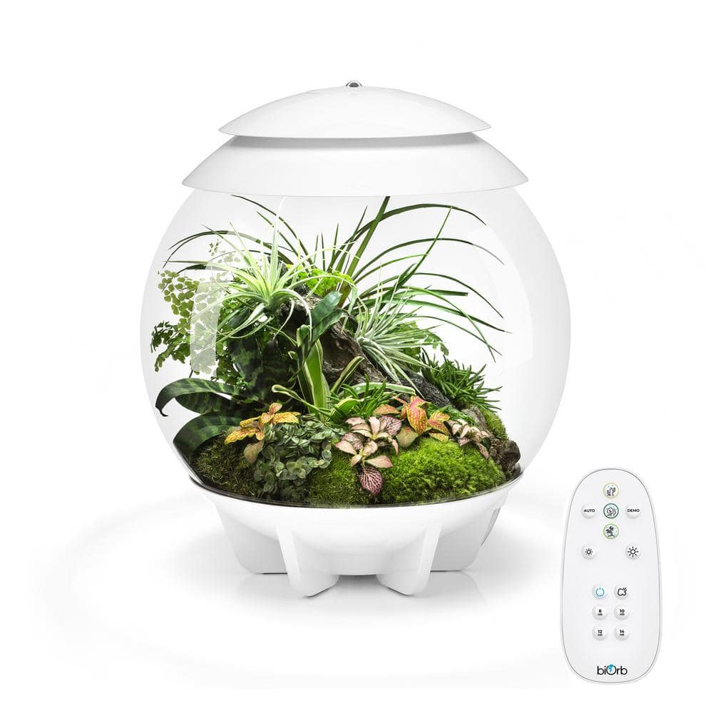 White Acrylic Desktop Terrarium Bowl with Automated Features