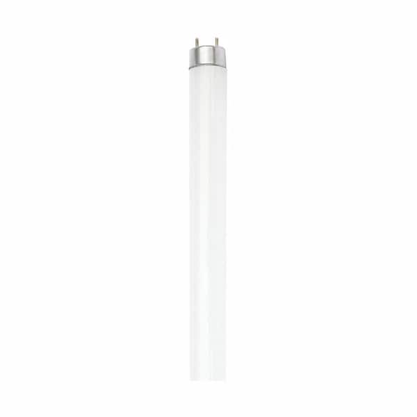 Commercial Electric 32-Watt T8 Linear Fluorescent Tube Light Bulb, Daylight (30-Pack)
