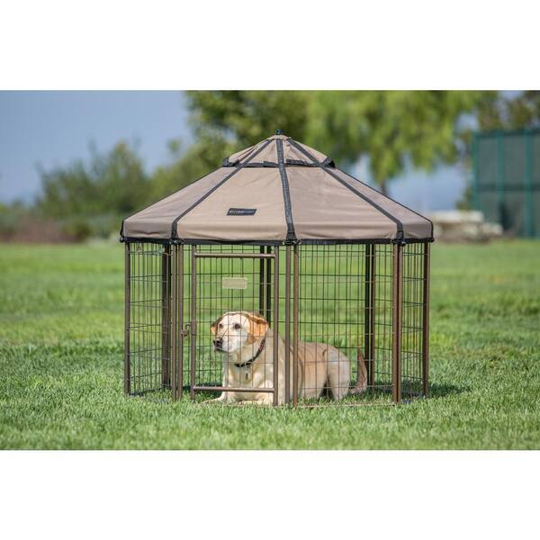 low profile dog crate