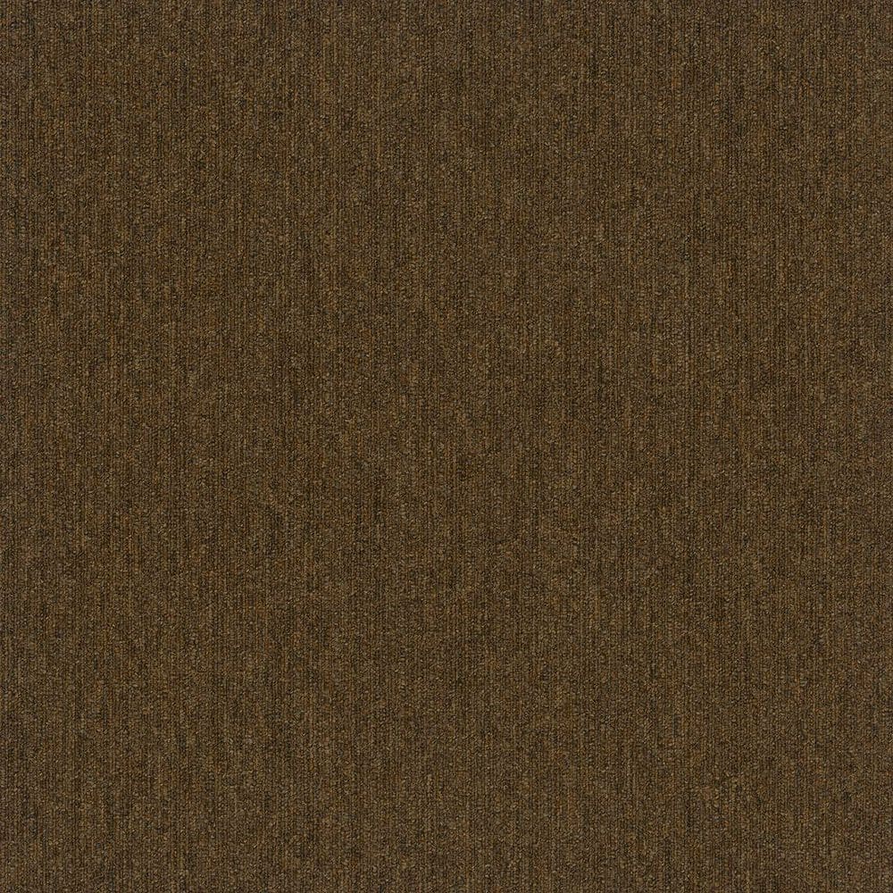 8 in. x 8 in. Loop Carpet Sample - Cadence Step Tile - Color Bishop price history on PriceWatchPro