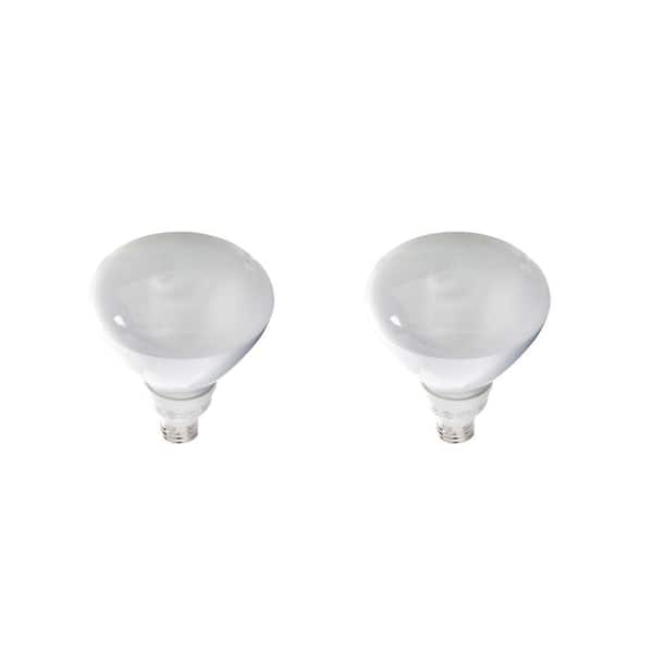 EcoSmart 85-Watt Equivalent R40 Non-Dimmable CFL Light Bulb Soft White (2-Pack)