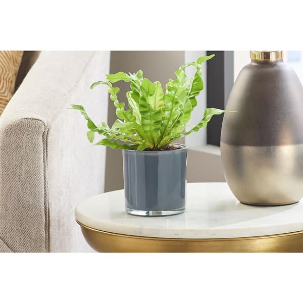 30 inch diameter planter pots Garvee 30 Inch Tall Planter Set of 2 Large Rattan Flower Pot with 2 Trays &  a Water Level Monitor & Wheels Outdoor and Indoor for Patio, Porch, Living