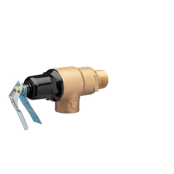 3/4 in. Brass Temperature and Pressure Relief Valve
