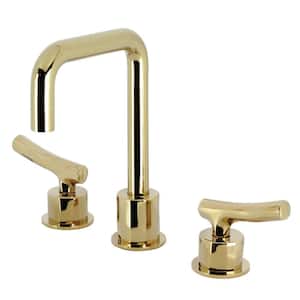 Hallerbos 8 in. Widespread Double Handle Bathroom Faucet in Polished Brass