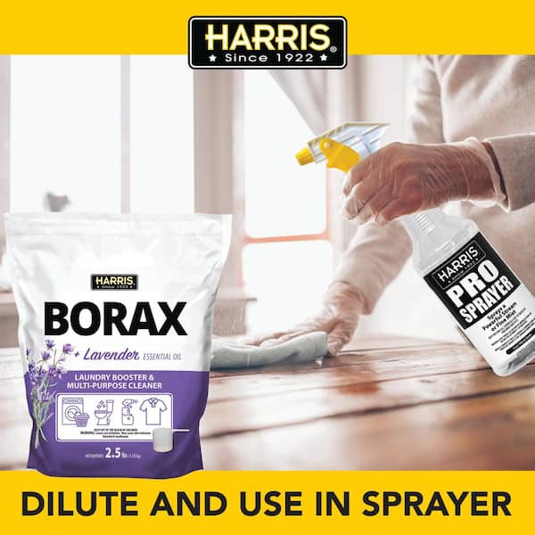 Borax – Essential Labs