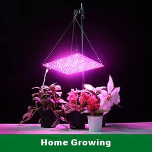 20-Watt Full Spectrum Grow Lights with 144 LEDs, for Indoor Garden Greenhouse Hydroponic Houseplants (2-Piece)