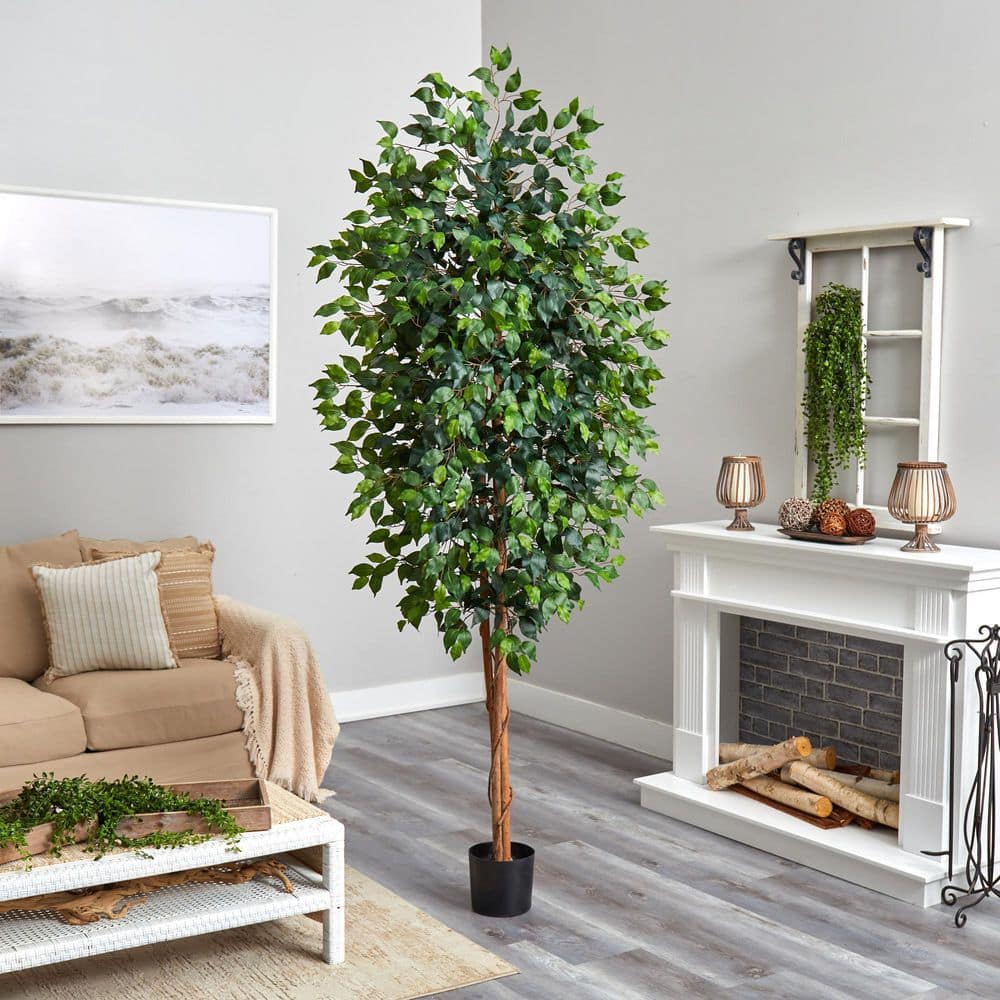 Tall Green Silk Ficus Tree in Black Plastic Pot