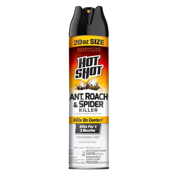 20 oz. Ant Roach and Spider Insect Killer Aerosol Spray