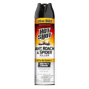 20 oz. Ant Roach and Spider Insect Killer Aerosol Spray